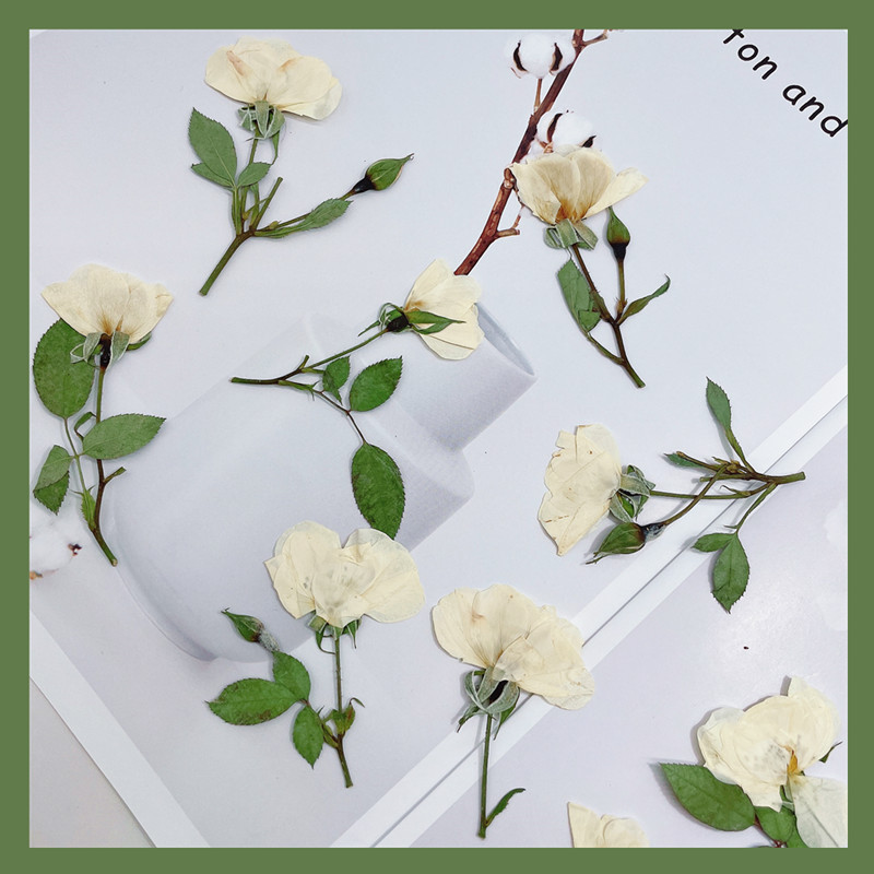12pcs, Nature White Pink Red R - Wedding Card Box 评论和价格